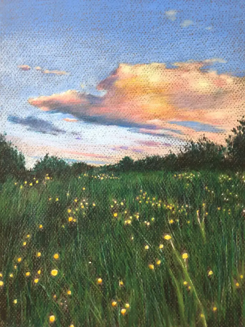 풀밭,꽃,들판,하늘,구름,노을