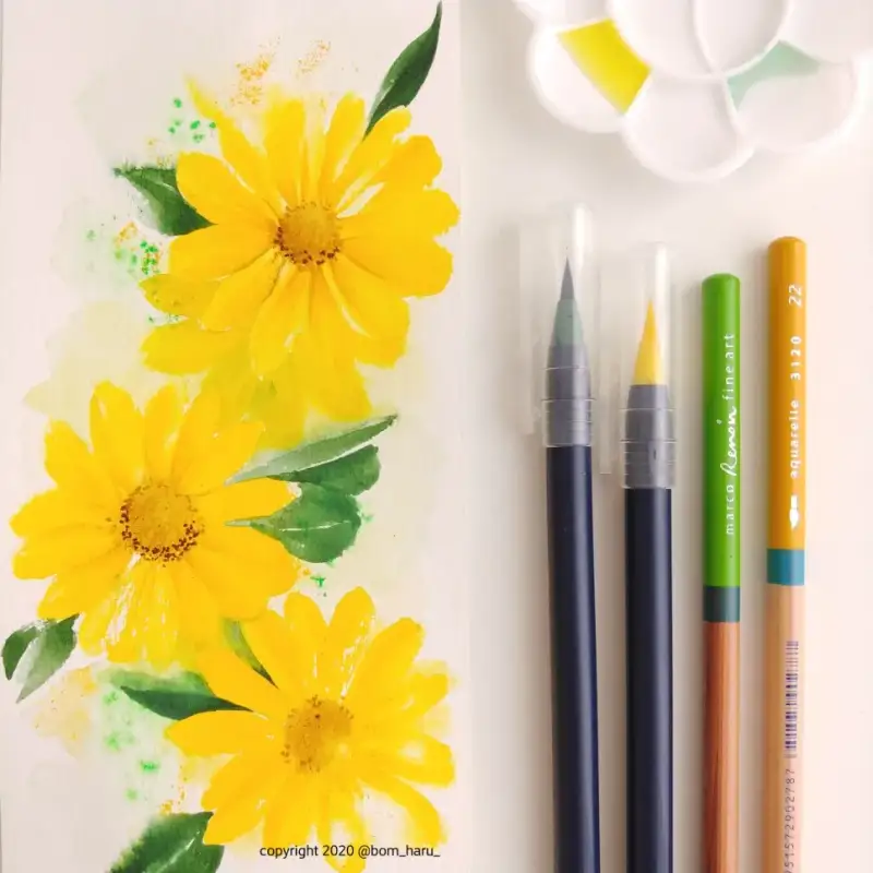 마르코르누아르유성색연필,마르코르누아르수채색연필