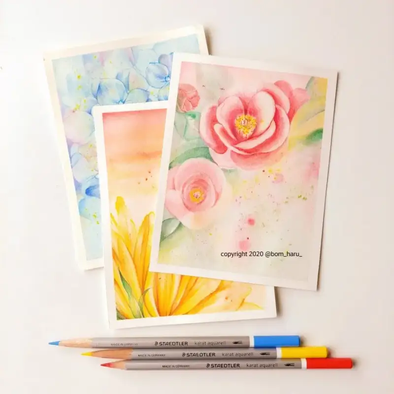 스테들러수채색연필카라트아쿠아렐,스테들러전문가용수채색연필