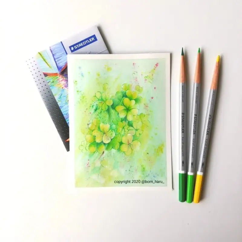 스테들러카라트아쿠아렐수채색연필,전문가용수채색연필