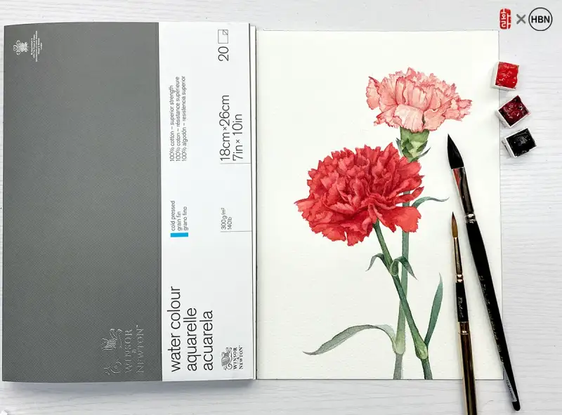 카네이션그림,윈저앤뉴튼,라파엘