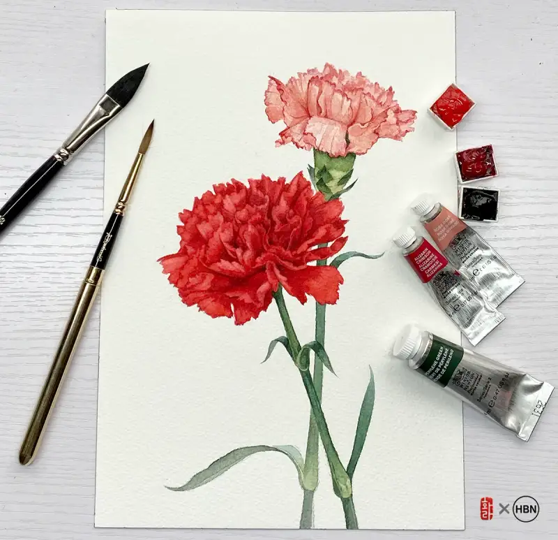 카네이션그림,윈저앤뉴튼,라파엘