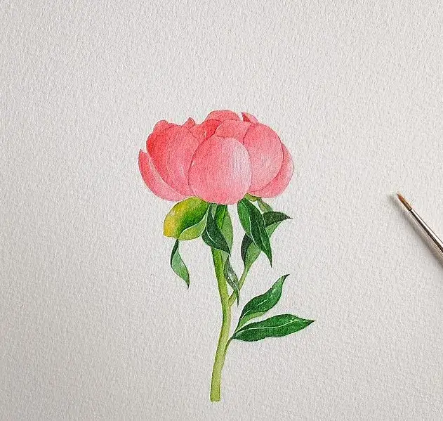 식물,꽃,보태니컬,수채화,수채화그림