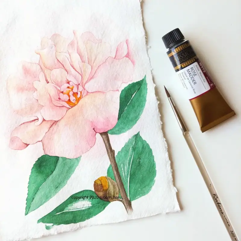 미젤로미션골드퓨어피그먼트,미젤로전문가용수채화물감,미션전문가용수채화물감,루벤스320세필붓