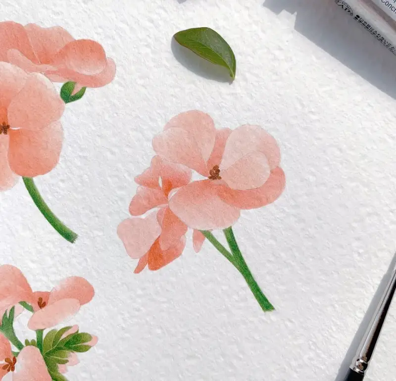 꽃,꽃그림,수채화,제라늄,핑크,분홍,쉘핑크