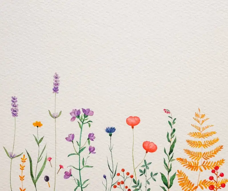 다니엘스미스수채화도트카드,도트카드,수채화그림,수채화,풀,꽃,식물