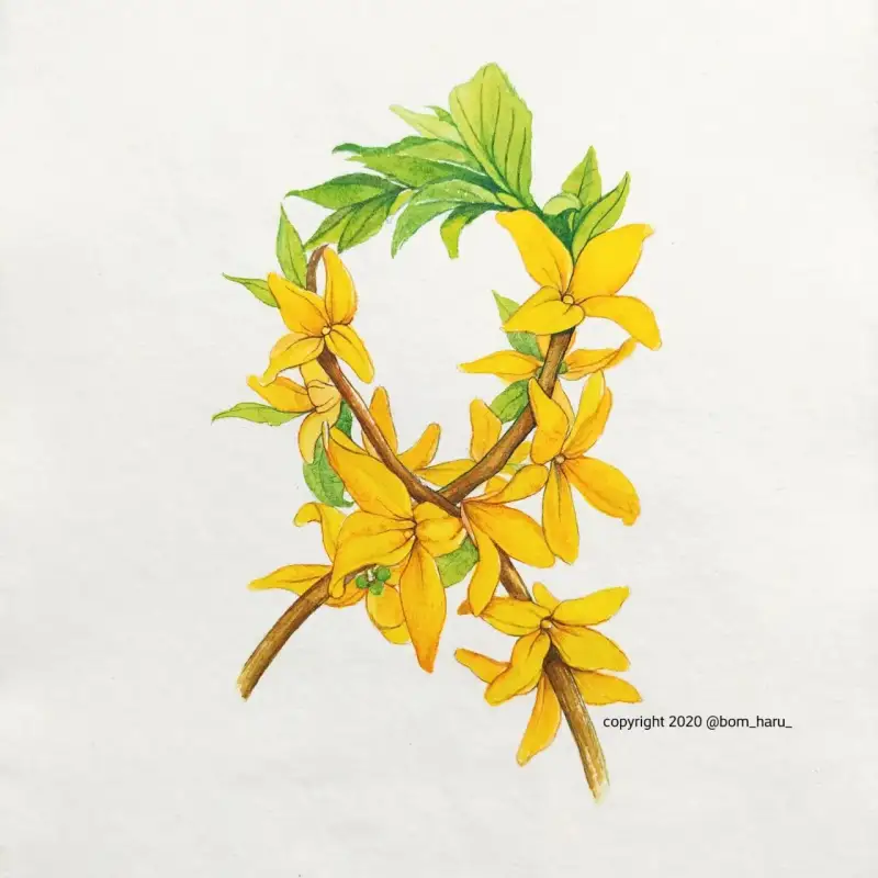 달러로니최고급수채화물감awc