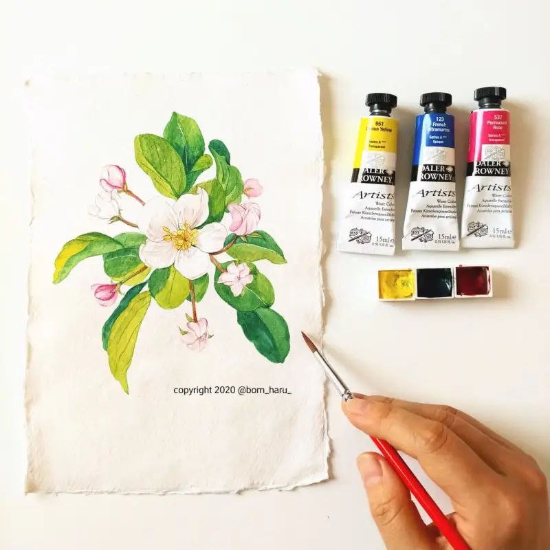 달러로니최고급수채화물감awc,anb102r디자인세필붓