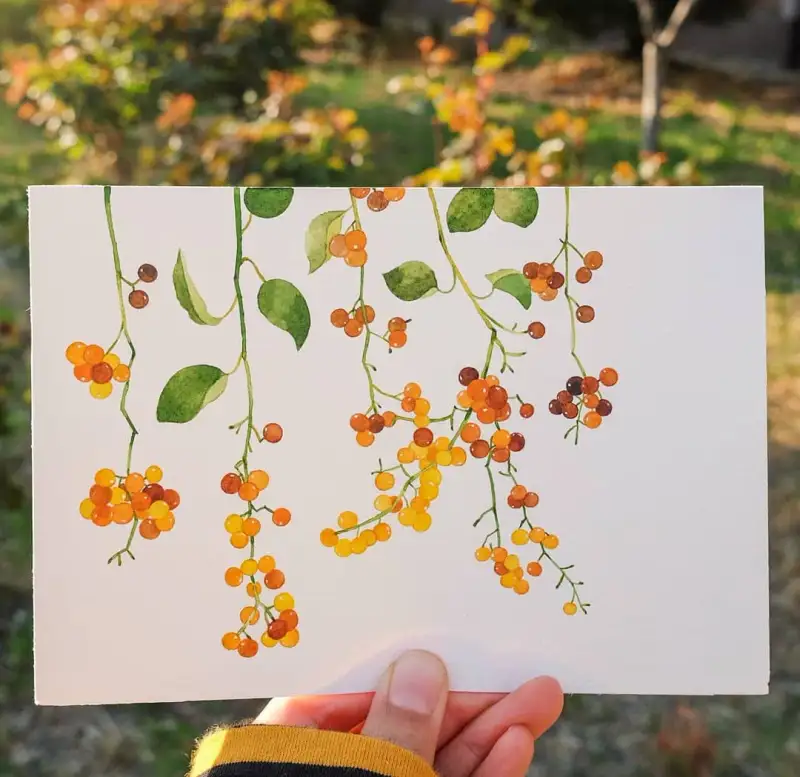 식물,열매,보태니컬,수채화,고체수채화,수채화전용지,수채화용지,파브리아노수채화용지