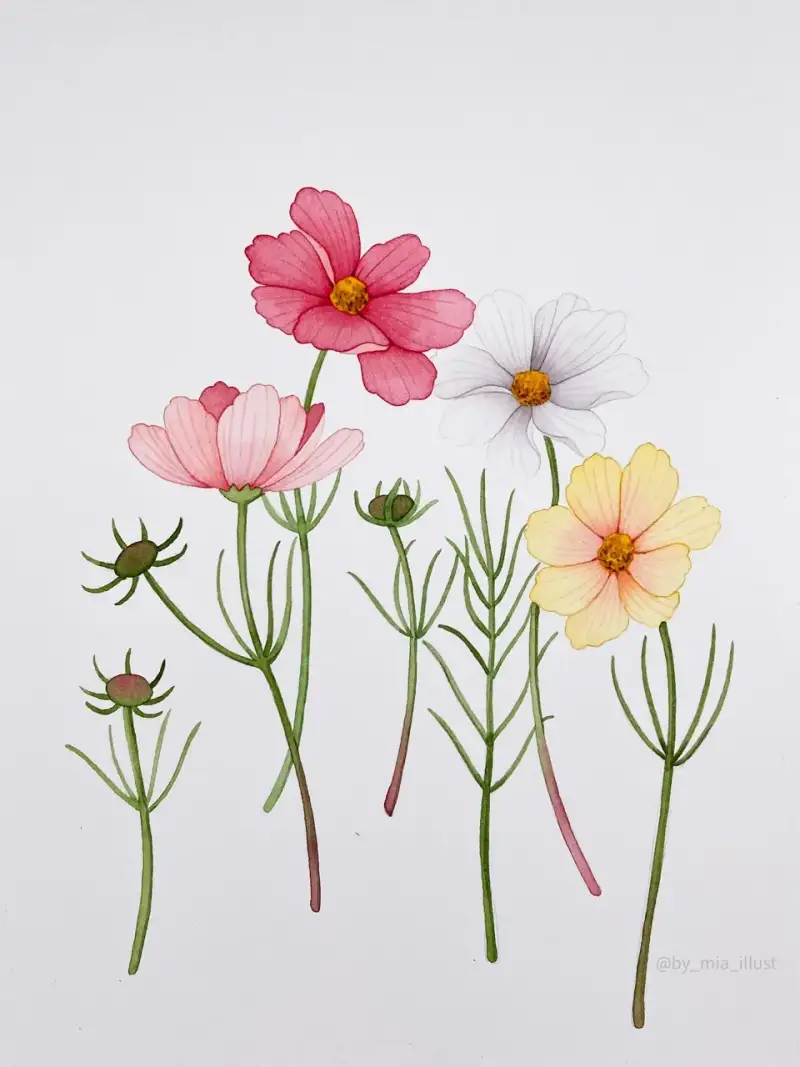 미젤로미션골드,골드미션,골드미션수채화물감