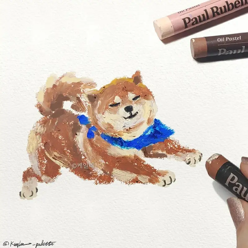 폴루벤스오일파스텔,폴루벤스일반오일파스텔,폴루벤스파스텔,폴루벤스오일파스텔세트