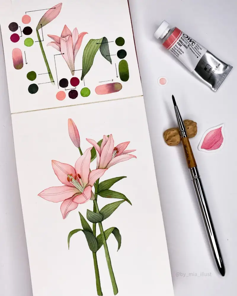 신한SWC수채화물감,SWC수채화물감,신한수채화물감