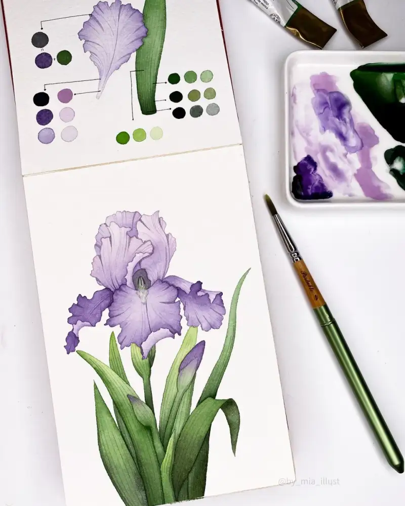 미젤로골드미션,미젤로미션골드,골드미션수채화물감