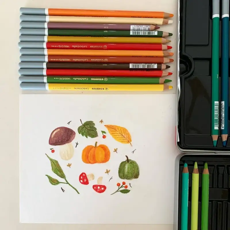 스타빌로카보오델로콘테겸용연필파스텔