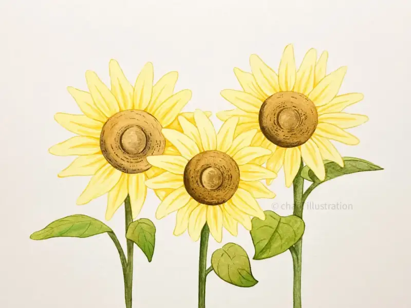 반고흐포켓박스고체수채화물감,몽마르아트전문가용수채화물감,다니엘스미스엑스트라파인수채화물감