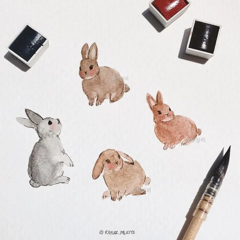 시넬리에고체물감,시넬리에수채고체물감,시넬리에전문가용수채고체물감,라파엘803,라파엘붓