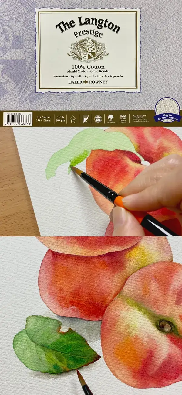 달러로니,달러로니랑턴,달러로니수채화패드