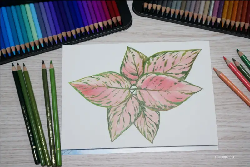 니오니유성색연필세트