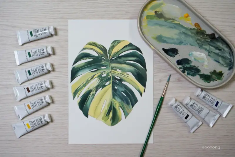 윈저앤뉴튼디자이너스과슈,윈저앤뉴튼수채화과슈