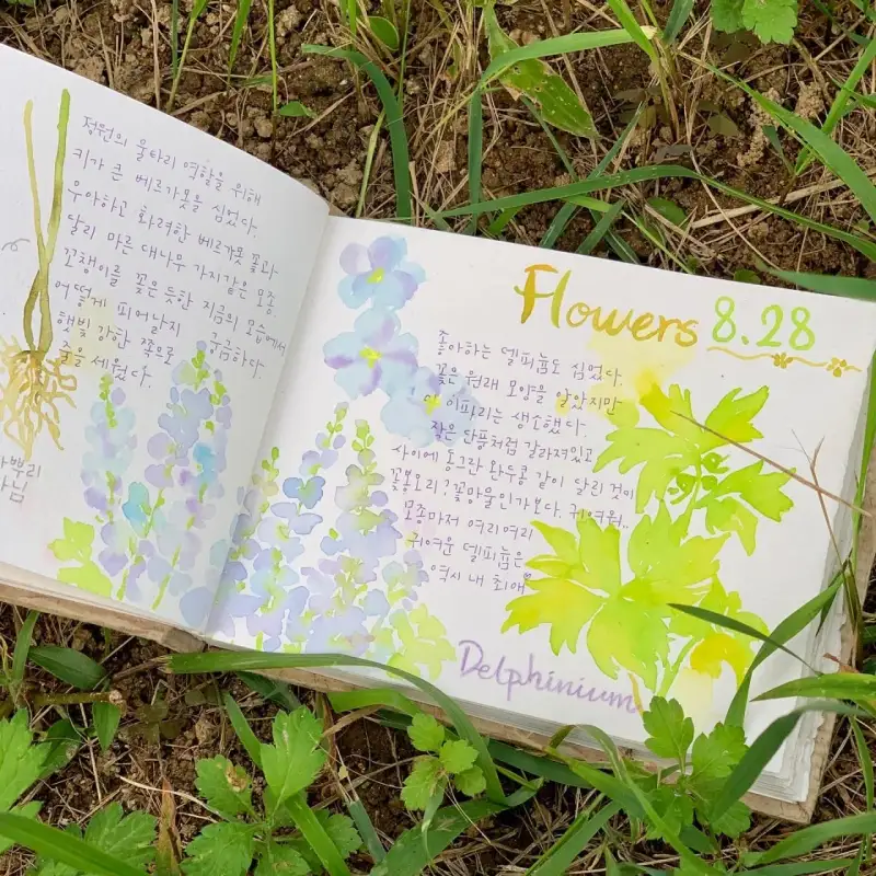 카디페이퍼,카디페이퍼스케치북,스케치북하드백