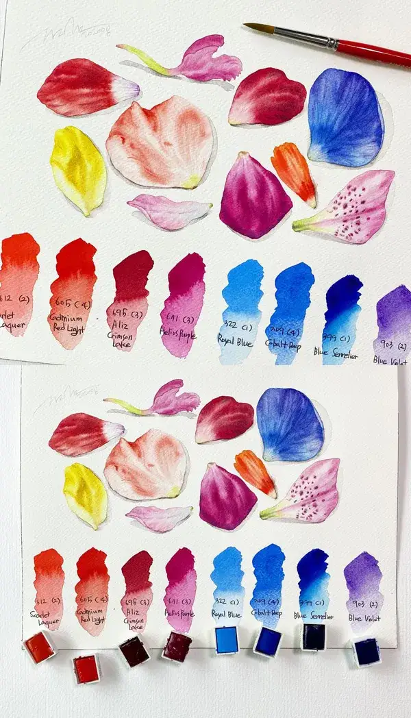 시넬리에수채고체물감,수채고체물감,시넬리에고체물감