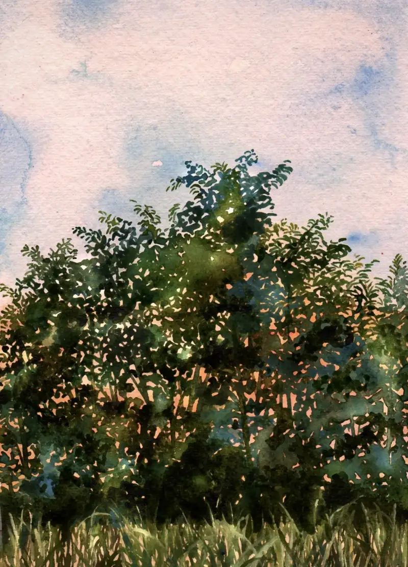 디자이너스과슈,윈저앤뉴튼과슈