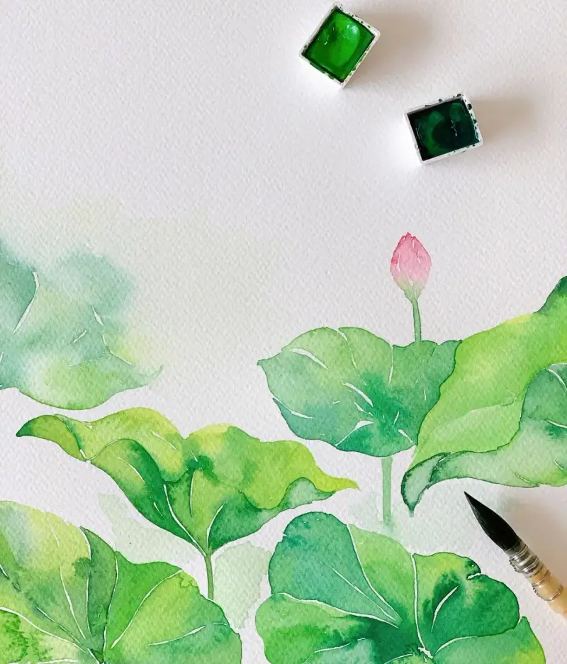 시넬리에고체물감,시넬리에메탈박스