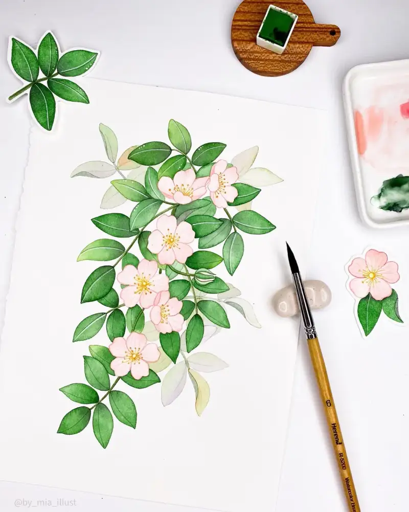 시넬리에고체물감,시넬리에수채고체물감,시넬리에수채화물감