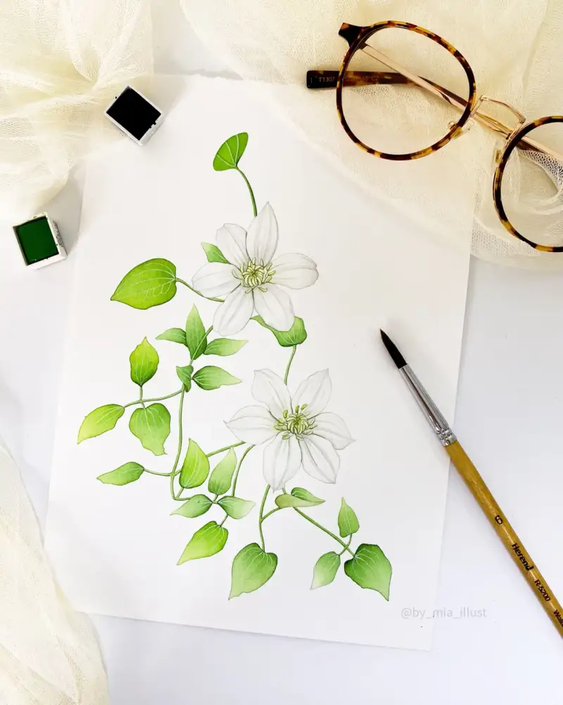 시넬리에고체물감,시넬리에수채고체물감,시넬리에수채화물감