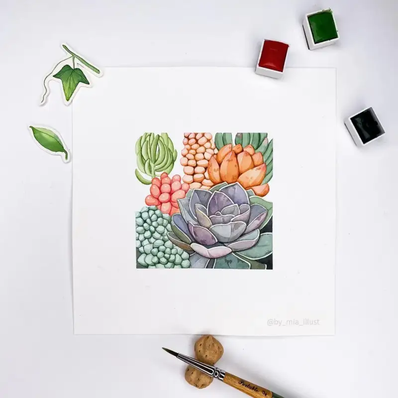 시넬리에고체물감,시넬리에전문가용수채화물감,시넬리에전문가용,시넬리에전문가용수채고체물감,시넬리에수채고체물감