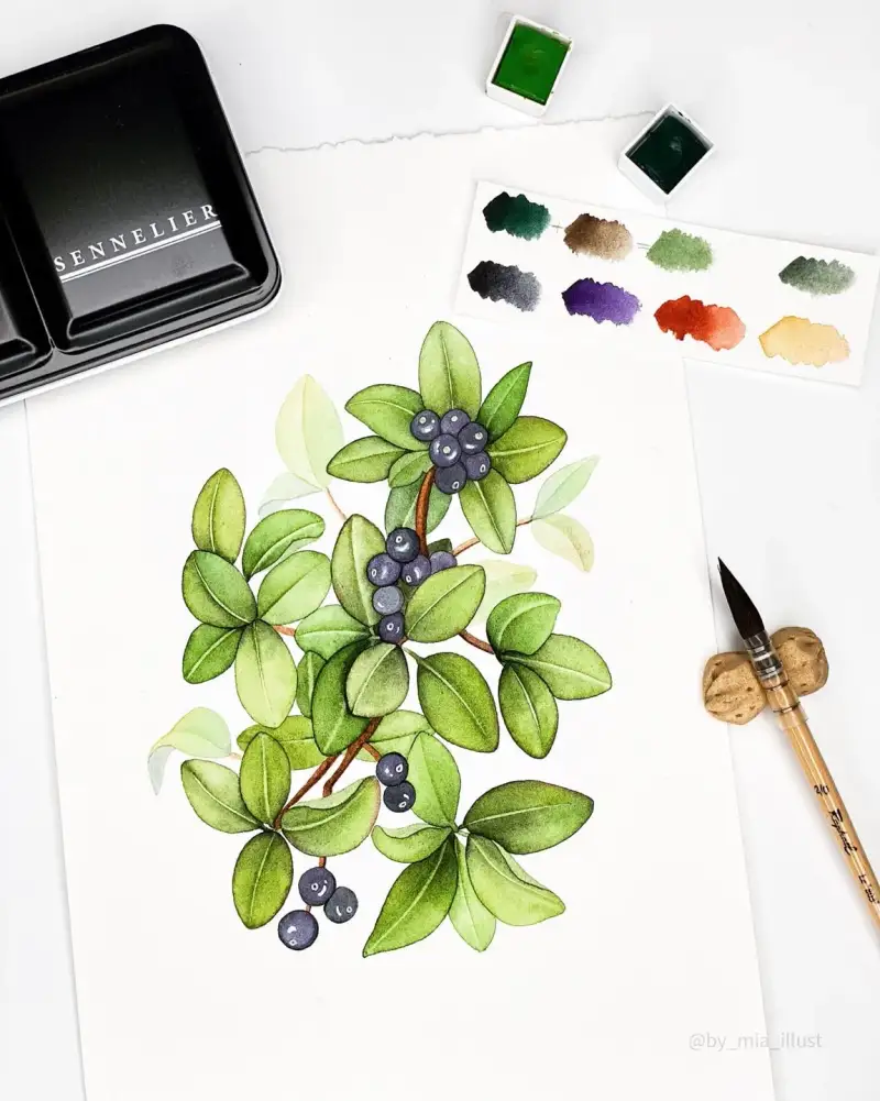 시넬리에,시넬리에고체물감,시넬리에수채고체물감,시넬리에전문가용수채고체물감