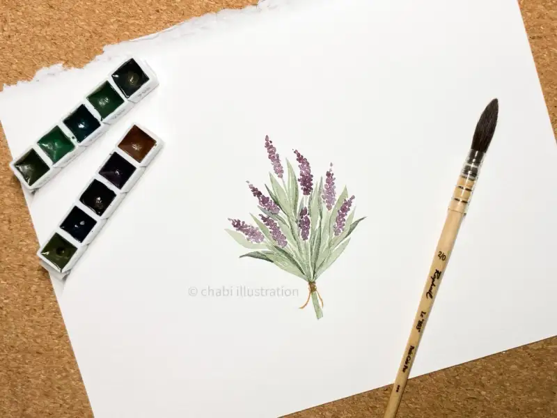 라파엘803수채화붓,라파엘다람쥐털붓,라파엘몹브러쉬,쉬민케호라담수채화물감,슈미케호라담수채화물감