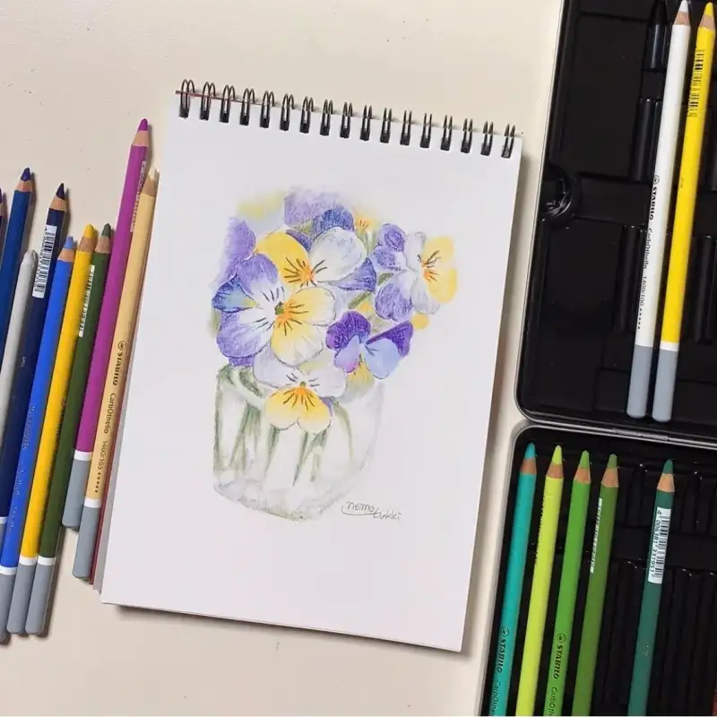 스타빌로카보오델로콘테겸용연필파스텔,스타빌로전문가용파스텔