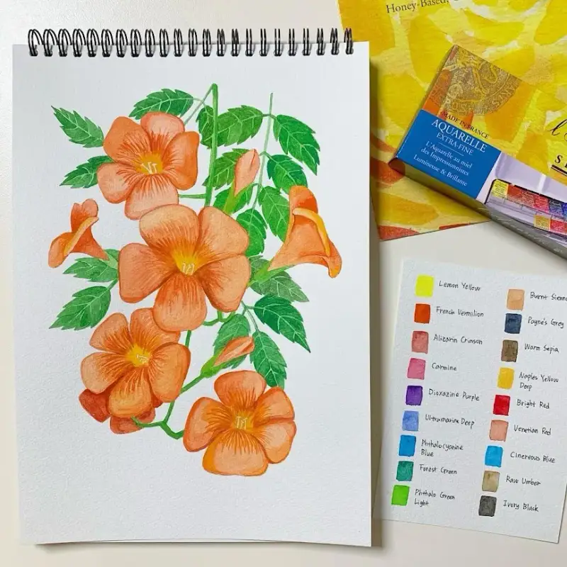 시넬리에전문가용수채고체물감세트,시넬리에수채화물감발색