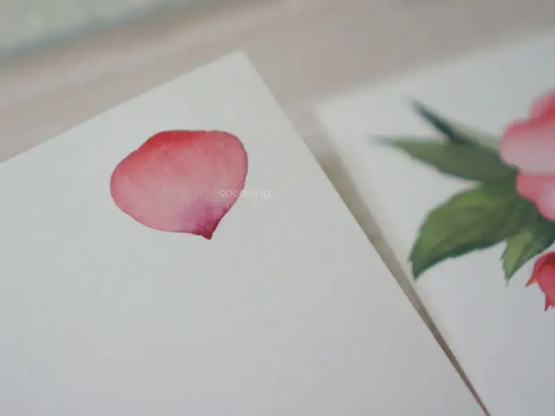 캔손아쿠아렐수채화엽서팩