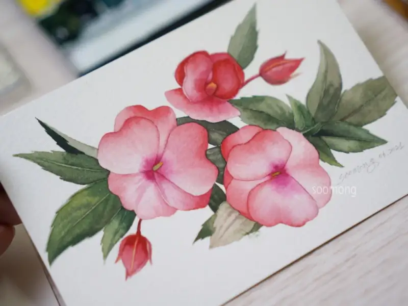 캔손아쿠아렐수채화지엽서팩,미젤로골드미션전문가용수채화물감세트