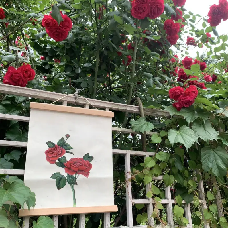 지그고체물감,안채탐미,안채고체물감