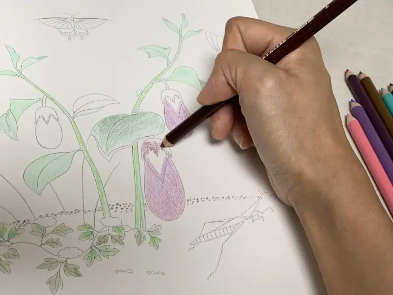 색연필밑그림,밑색깔기