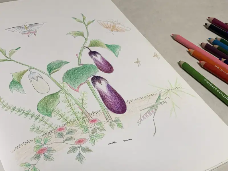 색연필드로잉,컬러링