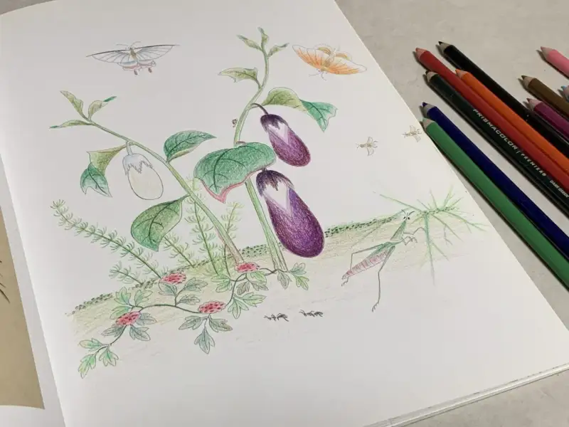 민화그리기,프리즈마,프리즈마유성색연필