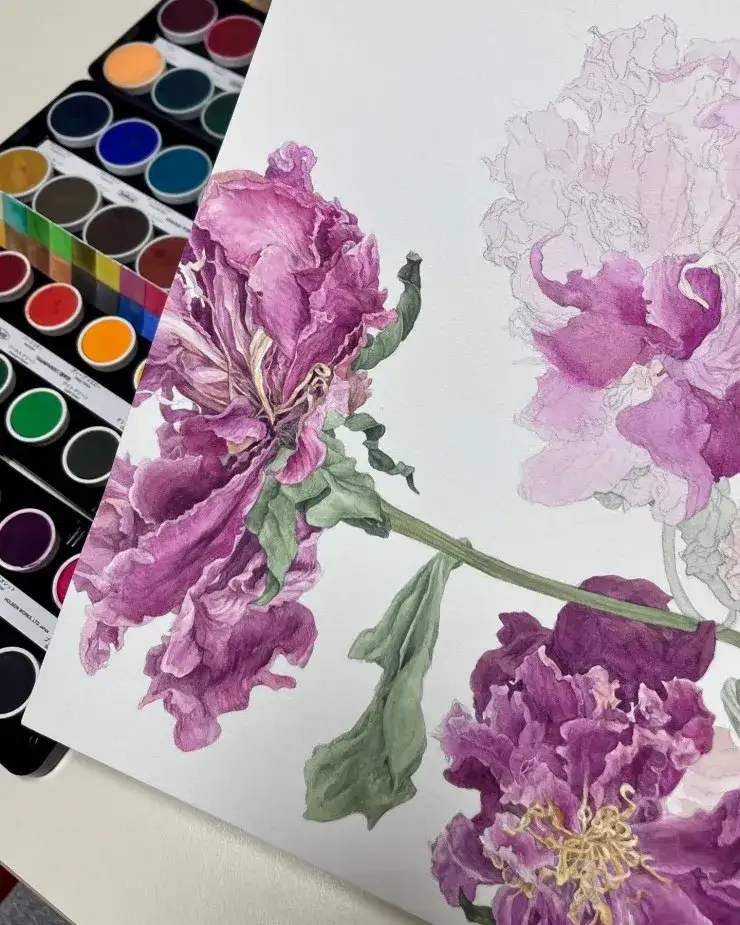 홀베인케이크,홀베인케이크컬러,홀베인고체물감,홀베인고체수채화,홀베인수채화물감,홀베인수채화