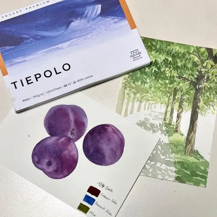 띠에뽈로,띠에뽈로스케치북,삼원아트스퀘어띠에뽈로,띠에뽈로판화지,삼원판화지,판화지패드,띠에뽈로패드