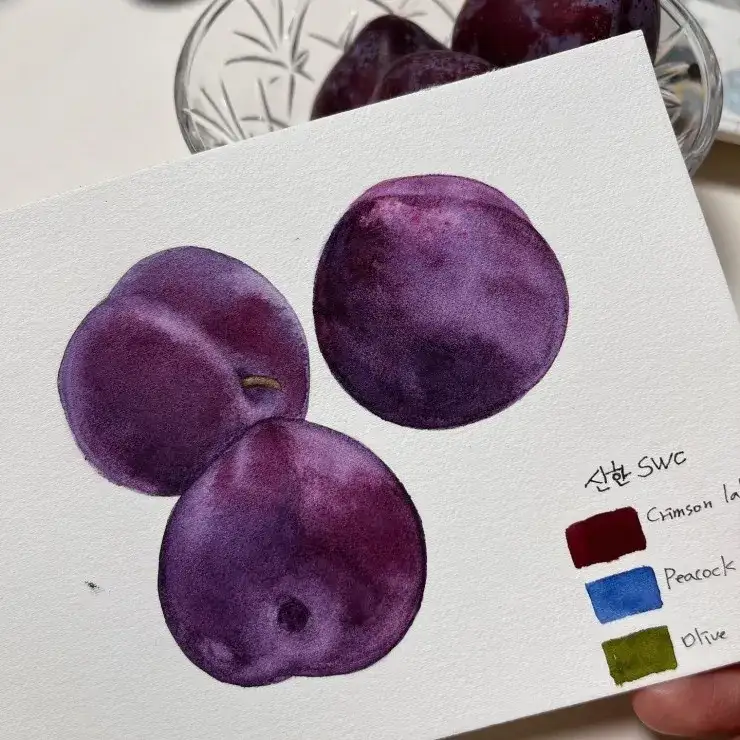 판화지페인팅,판화지그림,수채화일러스트,과일그림,과일일러스트