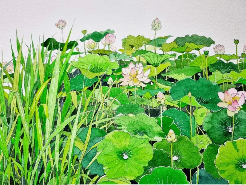 홀베인수채화물감,홀베인수채화물감32색세트,홀베인수채화,수채화일러스트,풍경수채화