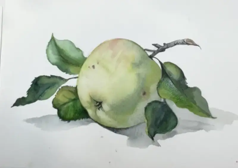 수채화일러스트,수채화그림,과일일러스트