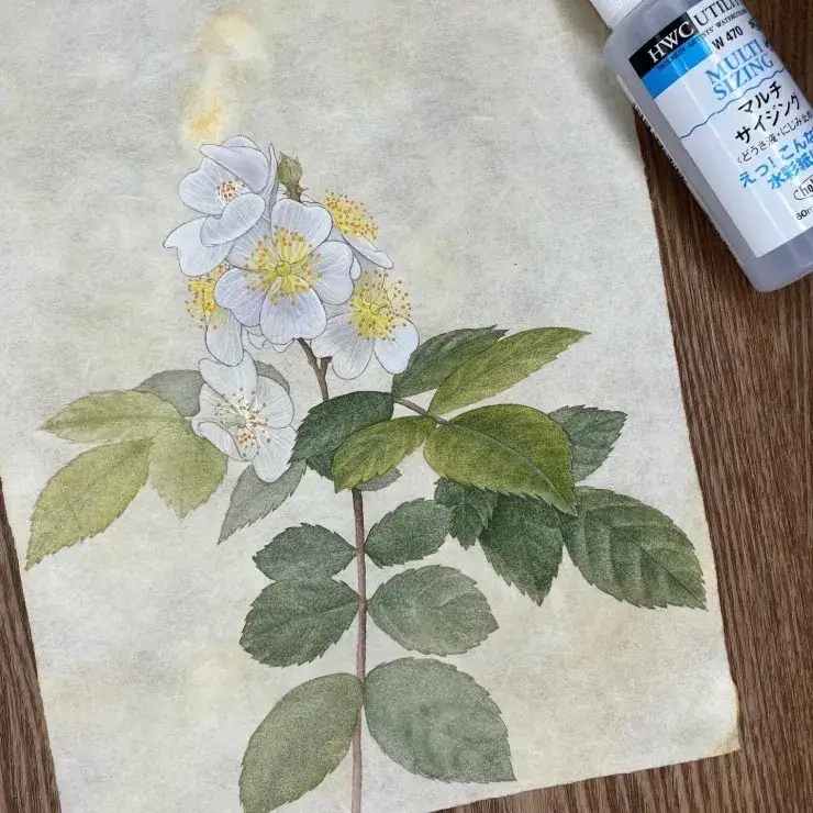 홀베인멀티사이징미디엄,홀베인멀티사이징,홀베인미디엄,홀베인수채화보조제