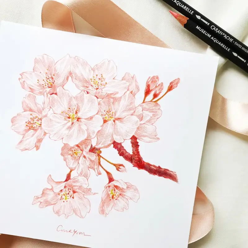 까렌다쉬뮤지엄아쿠아렐수채색연필,까렌다쉬수채색연필40색,까렌다쉬수채색연필,까렌다쉬드로잉패드