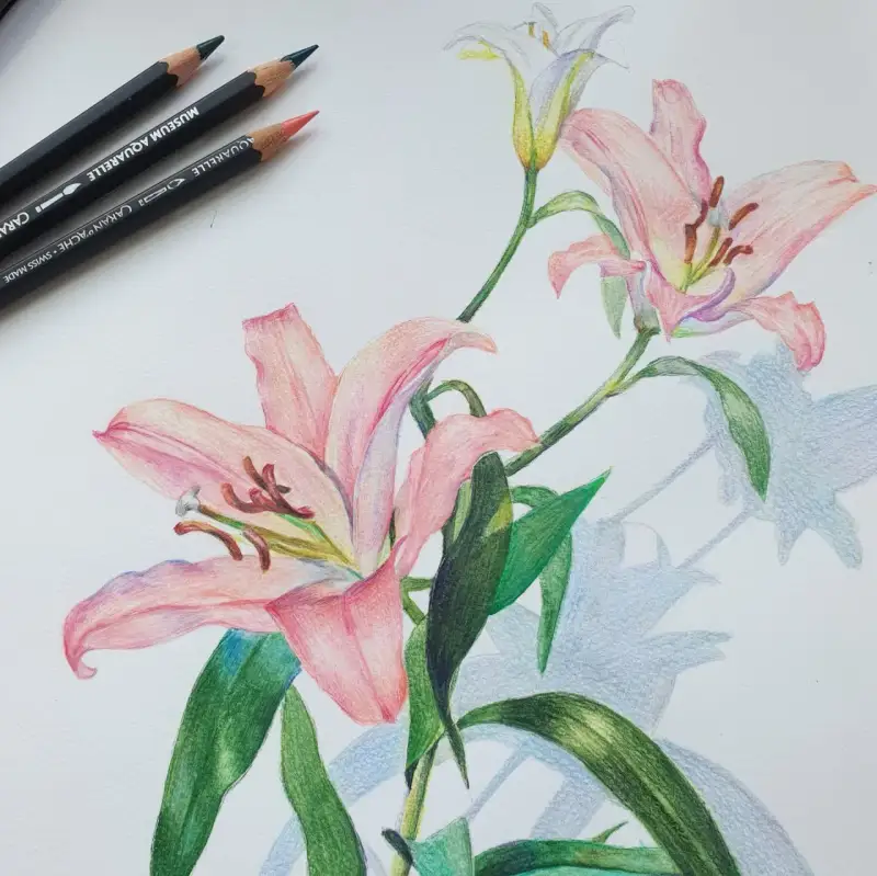 까렌다쉬뮤지엄아쿠아렐색연필,까렌다쉬뮤지엄아쿠아렐,까렌다쉬뮤지엄,까렌다쉬아쿠아렐,까렌다쉬색연필