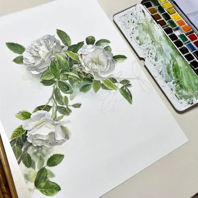 윈저앤뉴튼프로페셔널고체물감,윈저앤뉴튼프로페셔널,윈저앤뉴튼고체물감,윈저앤뉴튼수채화물감,윈저앤뉴튼수채화,윈저앤뉴튼고체케익,윈저앤뉴튼24색