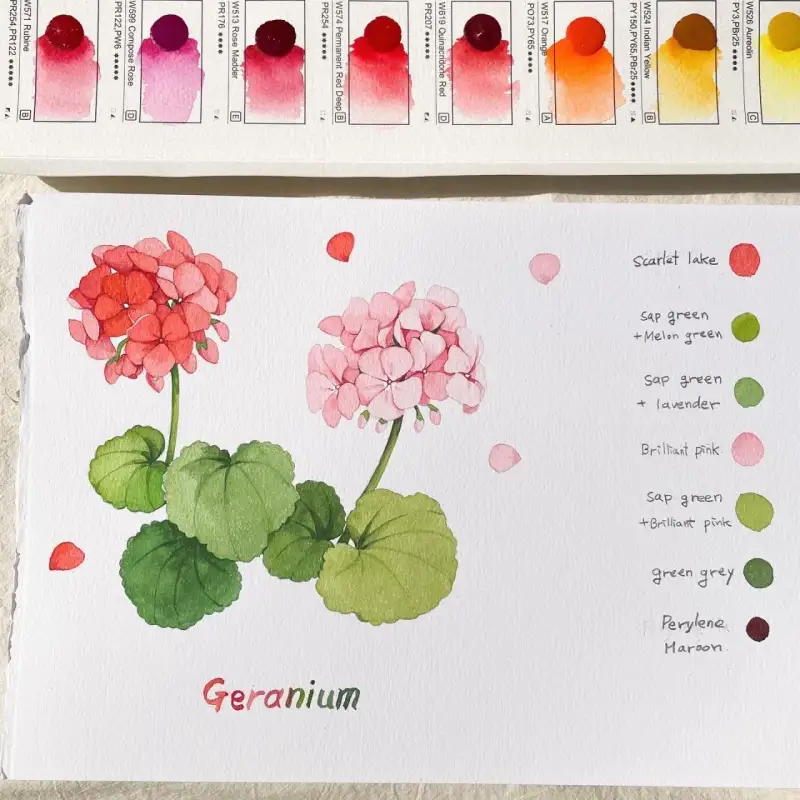 미젤로미션골드,미젤로수채화도트카드,미젤로도트카드,미젤로수채화카드,미젤로미션골드수채화도트카드,미젤로컬러차트,미젤로수채화컬러차트,미젤로,미션수채화도트카드